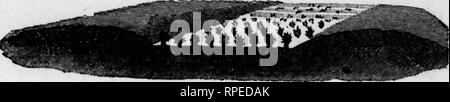 . Wie man den Garten Zahlen [microform] machen. Gartenarbeit. a..^ ij. i i'^tl? 1^2 - Wie man den Garten I^ay. Der Keller ist 40 Meter lang, 16 Meter breit und 3 Meter tief. Die Wände, die sind 18 cm dick, ich Fuß über dem Boden. Die Sparren erreichen klar zu Boden, wo sie ruhen auf Platten dort platziert das Dach vom Verbreiten zu halten. Die Enden sind Wetter - auf beiden Seiten des 6-Zoll Stehbolzen gefugt und gefüllt mit Sägemehl. Das Dach ist auch Doppelzimmer mit Sägemehl Füllung. Eine Anzahl von Partitionen mit Papier gezeichnet, und der Bildung von zwei oder drei vielleicht auch vier tote Freiflächen von zwei Zoll Stockfoto