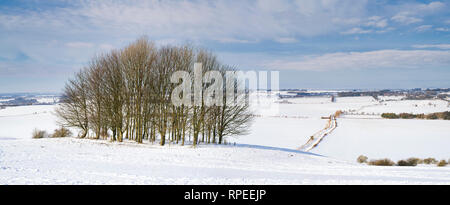 Verschneite Winterlandschaft von Hackpen Hill in die Landschaft von Wiltshire. Breite Hinton, Wiltshire, England. Panoramablick Stockfoto