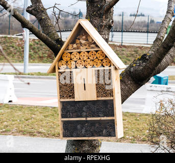 Insekt hotel Hängen an einem Baum in städtischen Parkplatz - Stadt Umweltschutz Stockfoto