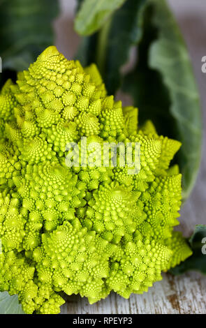 In der Nähe von interessanten Form römische Blumenkohl (Brassica oleracera) Stockfoto