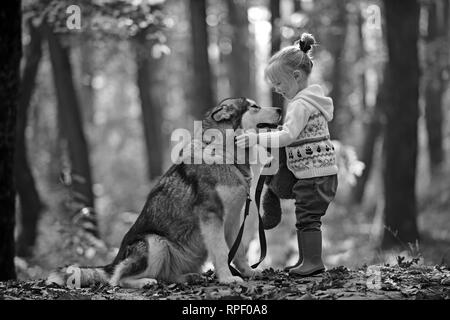 Kind Spiel mit Husky und Teddybär auf frische Luft im Freien. Red Riding Hood mit Wolf im Märchen Wald. Kindheit, Spiel und Spaß. Aktivitäten und aktive Stockfoto