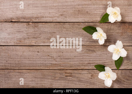 Frame Jasmin auf dem alten Holz- Hintergrund mit Kopie Platz für Ihren Text. Ansicht von oben. Hochzeit Einladung Karte Stockfoto