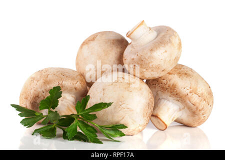 Ein Bündel champignon Pilze mit Petersilie auf weißem Hintergrund Stockfoto