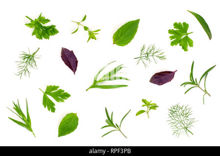 Frische Gewürze und Kräuter auf weißem Hintergrund. Dill Petersilie Basilikum Thymian Estragon. Ansicht von oben Stockfoto