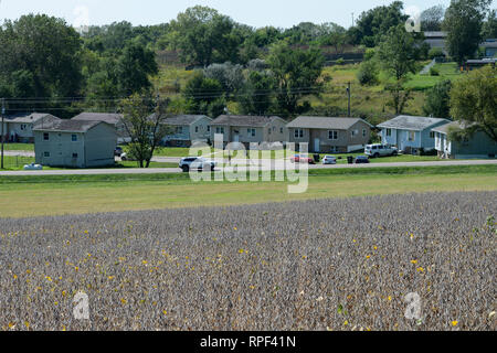 USA, Nebraska, Omaha Reservierung, Stadt Macy, Sojafeld Stockfoto