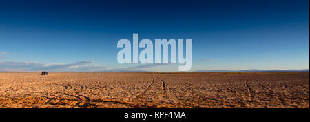 Breite Fahne mit Panoramablick auf die Landschaft in der Nähe von "Ojos del Salar" in der Atacama-wüste, Chile. Reifenspuren Kontrast der Wüste und die riesigen Dimensionen der Stockfoto