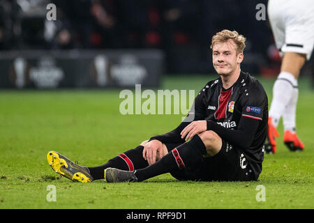 Leverkusen, Deutschland. 21 Feb, 2019. Fußball: Europa League, Bayer Leverkusen - FK Krasnodar, die K.o.-Runde, Zwischenrunde, 2 Beine. Der Leverkusener Julian Brandt reagiert während des Spiels. Credit: Marius Becker/dpa/Alamy leben Nachrichten Stockfoto