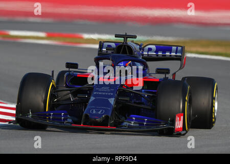 Montmelo, Spanien. 21 Feb, 2019. Alexander Albon von Thailand fahren (23) Scuderia Toro Rosso STR 14 Honda auf der Spur während der Tag vier von F1 die Wintertests Credit: Marco Canoniero/Alamy leben Nachrichten Stockfoto