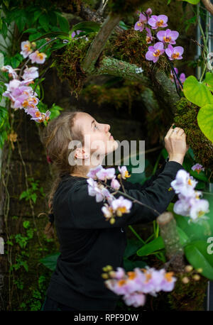 Leipzig, Deutschland. 21 Feb, 2019. Anna Bech arbeitet im Botanischen Garten über den Bau der Orchidee zeigen. Die Show wird am 23. Februar geöffnet. Credit: Monika Skolimowska/dpa-Zentralbild/dpa/Alamy leben Nachrichten Stockfoto