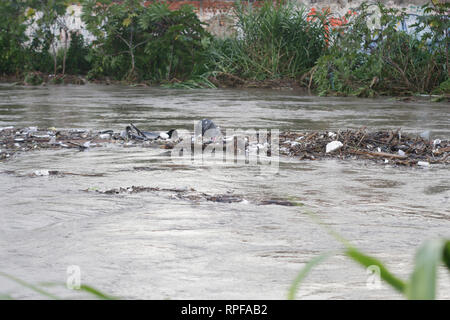 PR - Curitiba - 02/27/2019 - starker Regen in Curitiba - Starker Regen überläuft die Bel m Fluss in Curitiba Störungen in der Region. Foto: Gabriel Machado/AGIF Stockfoto