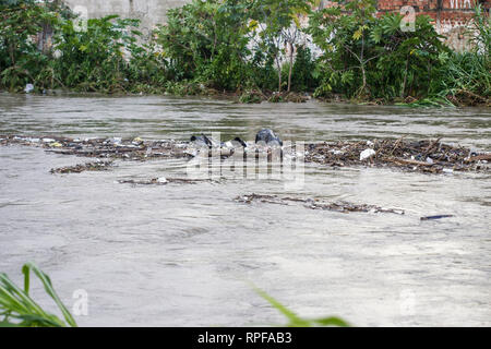 PR - Curitiba - 02/27/2019 - starker Regen in Curitiba - Starker Regen überläuft die Bel m Fluss in Curitiba Störungen in der Region. Foto: Gabriel Machado/AGIF Stockfoto