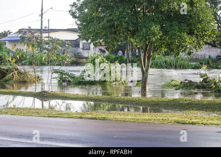 PR - Curitiba - 02/27/2019 - starker Regen in Curitiba - Starker Regen überläuft die Bel m Fluss in Curitiba Störungen in der Region. Foto: Gabriel Machado/AGIF Stockfoto