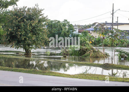 PR - Curitiba - 02/27/2019 - starker Regen in Curitiba - Starker Regen überläuft die Bel m Fluss in Curitiba Störungen in der Region. Foto: Gabriel Machado/AGIF Stockfoto