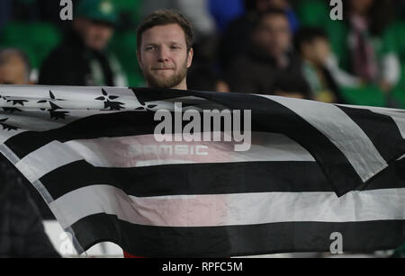 Sevilla, Spanien. 21 Feb, 2019. Unterstützer Breton während der UEFA Europa League, Runden von 32, 2 bein Fußballspiel zwischen Real Betis Balompie und Stade Rennais am 21 Februar, 2019 im Estadio Benito Villamarin in Sevilla, Spanien - Foto Laurent Lairys/MAXPPP Credit: Laurent Lairys/Agence Locevaphotos/Alamy leben Nachrichten Stockfoto