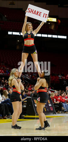 College Park, MD, USA. 21 Feb, 2019. Maryland Dosenschildkröten Cheerleadern während Basketball Spiel eines NCAA Frauen zwischen der Universität von Maryland Dosenschildkröten und die Minnesota Golden Gophers an der Xfinity Zentrum in College Park, Md. Justin Cooper/CSM/Alamy leben Nachrichten Stockfoto