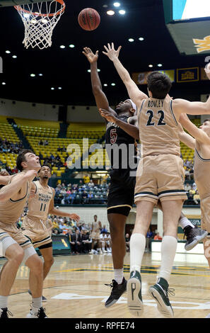 Williamsburg, VA, USA. 21 Feb, 2019. 20190221 - Charleston vorwärts JARRELL BRANTLEY (5) floats Home eine Kerbe gegen William und Mary vorwärts PAUL ROWLEY (22) in der zweiten Hälfte bei Kaplan Arena in Williamsburg, Virginia Credit: Chuck Myers/ZUMA Draht/Alamy leben Nachrichten Stockfoto