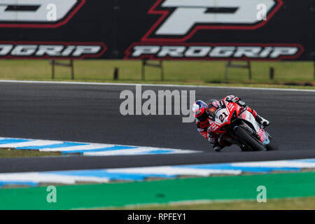 Phillip Island, Australien. 22 Feb, 2019. World Superbikes Meisterschaft, Freitag Freies Training; die Zahl 21 Barni Racing Team Ducati geritten von Michael Ruben Rinaldi während der Freien Praxis 2 Credit: Aktion plus Sport/Alamy leben Nachrichten Stockfoto