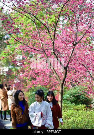 Fuzhou, Provinz Fujian in China. 22 Feb, 2019. Menschen besuchen Wushan scenic Spot in Fuzhou, Stadt im Südosten der chinesischen Provinz Fujian, Feb 22, 2019. Credit: Wei Peiquan/Xinhua/Alamy leben Nachrichten Stockfoto