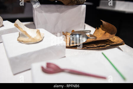 Platenlaase, Deutschland. 22 Feb, 2019. Ergebnisse wie ein steckbrett (r) von Ausgrabungen der "Republik freies Wendland" liegen auf einem Tisch während einer Präsentation. 1977 Gorleben wurde von der Niedersächsischen Landesregierung als möglicher Standort für ein Repository, das auf den Widerstand der Atomkraftgegner met genannt. Im Mai 1980 verkündeten die "Republik freies Wendland". Credit: Philipp Schulze/dpa/Alamy leben Nachrichten Stockfoto