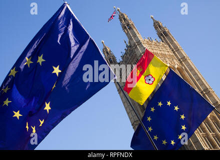 London Westminster, Großbritannien. 21 Feb, 2019. Anti Brexit Demonstranten außerhalb des Palastes von westmister in Central London, England, UK. Fliegen sowohl Europäische Union - EU und Union Jack Fahnen. Credit: Brian Harris/Alamy leben Nachrichten Stockfoto