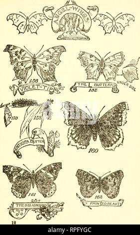 . Buchen Sie die American Boys' von Käfern, Schmetterlingen und Käfern. Insekten. . Bitte beachten Sie, dass diese Bilder sind von der gescannten Seite Bilder, die digital für die Lesbarkeit verbessert haben mögen - Färbung und Aussehen dieser Abbildungen können nicht perfekt dem Original ähneln. extrahiert. Bart, Daniel Carter, 1850-1941. Philadelphia, Lippincott Stockfoto