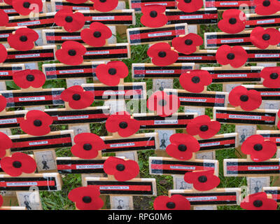 Viele Kreuze und andere Ehrungen auf der Westminster Abbey Feld der Erinnerung, London, UK, in Erinnerung an die im ersten Weltkrieg gefallenen Eins und Zwei. Stockfoto