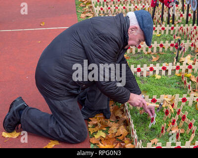 Viele Kreuze und andere Ehrungen auf der Westminster Abbey Feld der Erinnerung, London, UK, in Erinnerung an die im ersten Weltkrieg gefallenen Eins und Zwei. Stockfoto