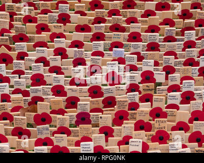 Viele Kreuze und andere Ehrungen auf der Westminster Abbey Feld der Erinnerung, London, UK, in Erinnerung an die im ersten Weltkrieg gefallenen Eins und Zwei. Stockfoto