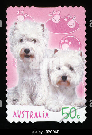 Australien - ca. 2004: einen Stempel in Australien gedruckten zeigt ein Bild von zwei Bichon Frise Hunde, Serie, ca. 2004. Stockfoto