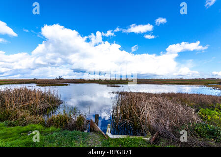 Wolken und Landschaft an einem schönen Tag im San Luis National Wildlife Refuge im Central Valley in Kalifornien Stockfoto