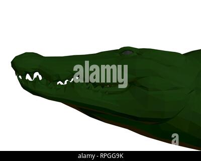 Krokodil Kopf. Grüne polygonalen Krokodil Kopf auf einem weißen Hintergrund. 3D. Vector Illustration. Stock Vektor