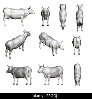 Set mit einer Kuh. Polygonale Kuh in verschiedenen Winkeln. Groß, mit einem weißen polygonalen Kuh. 3D-Vektor Illustration. Stock Vektor