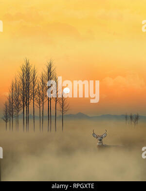 A Golden Sky, ein whitetail Deer, Nebel, Bäume und die Sonne in der Nähe des Horizonts ist in diesem dramatischen Szene wildlebende Tiere in einer natürlichen Umgebung. Dies ist ein Illustra Stockfoto