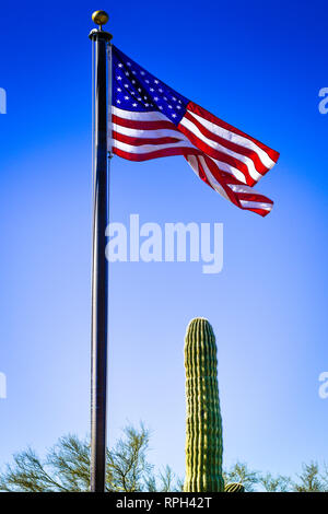 Ein hoher Fahnenmast mit einer amerikanischen Flagge im Wind neben einem Saguaro Kaktus vor einem blauen Hintergrund Stockfoto