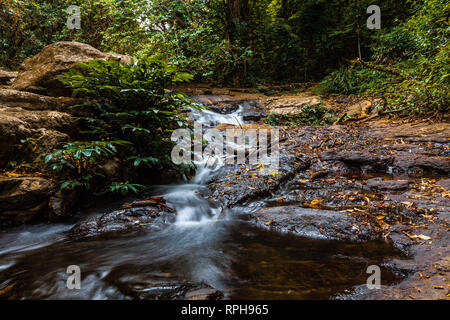 Fließenden Bach in üppigen grünen wilden Regenwald in Australien Stockfoto