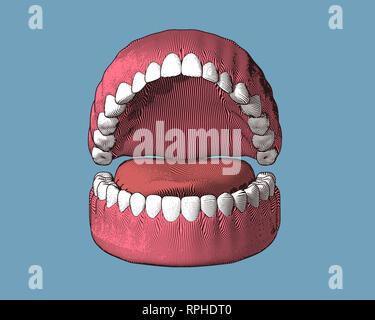 Zähne und Zahnfleisch Gravur mit Farbe Abbildung auf blauem Hintergrund isoliert Stockfoto