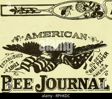 . American bee Journal. Biene Kultur; Bienen. 1 S vom 2. Juni 1913.. Amerikanische Vae Amtsblatt veröffentlicht monatlich von American Bee Journal 1. Nat'ich Bank Bldg. Hamilton, Illinois WICHTIGER HINWEIS DER BEZUGSPREIS der Zeitschrift ist Sloo ein Jahr in den Vereinigten Staaten von Amerika und Mexiko: in Kanada, $ Ich. io: und in alle anderen Länder in der Postgewerkschaft. 25 Cents pro Jahr zusätzlich für Porto. Probeheft kostenlos. Die Wrapper: LABEL DATUM zeigt das Ende des Monats, auf den sich Ihr Abonnement bezahlt wird. Zum Beispiel "DEZI 3" auf dem Etikett zeigt, dass es bis zum Ende des bezahlten ist; Dezember 1013. Registrierun g Stockfoto
