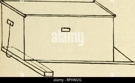 . American bee Journal. Biene Kultur; Bienen. Mai. 1913. American T^ee-Journal 163 genug über der Mitte des Schrägförderers zu erreichen, und am anderen Ende einen kurzen Haken zu Haken in die Hand gedrückt, in dem Ende der Bienenkorb. Jeder kann Sie von alten steifen Draht mit einer Zange. Sie dicht genug sein sollte, sich mit einer kleinen Feder Druck zu gehen, und wenn der richtige Form, halten Sie die Zuführungen ohne Dam - Alter des Schrägförderers oder Bienenkorb. Ich bevorzuge alten rostigen Draht wie z.b. für Zäune verwendet wurde. Es ist ein wenig steifer, und nicht so zu geneigt. Art und Weise der Befestigung des Alexander des Schrägförderers mit einem Draht. slip als ne Stockfoto