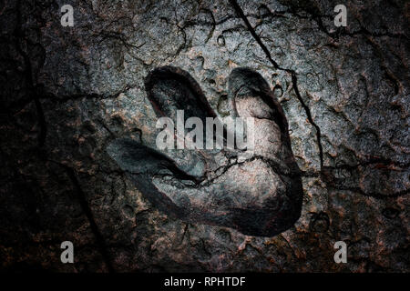 Gebrochene dinosaur Footprint dunklen Hintergrund Crack Stockfoto