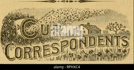 . Die amerikanische Imker. Biene Kultur; Honig. Die amerikanische Imker,. 149 Keine gelben Bänder auf ihre Nachkommenschaft. Nichts als die reine Krainer Art. Letzteres wurde von Herrn Henry Gasse von Wenham, Massachusetts aufgezogen, von seiner Kenntnis $ 100 italienischen Königin. Sie ist eine sehr feine Dame, und zeigt auch gut markiert, aber wir hatten in unserer Imkerei vor ihr, dass Bienen eines tiefer liegenden goldenen Farbton auch als Ihres produziert. Wie gesagt, diese beiden Kolonien so gleichmäßig ausgefüllt werden mit Bienen, haben wir beschlossen, sie auf einmal einen Versuch test Ihrer houey sammeln Qualitäten zu geben. Die Saison jedoch sehr bewährt Stockfoto