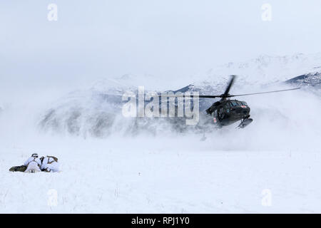 Fallschirmjäger mit 1St Squadron, 40th Cavalry Regiment (Airborne), 4 Infantry Brigade Combat Team (Airborne), 25 Infanterie Division, U.S. Army Alaska, Unordnung über ein mock Unfall aus dem Rotor zu schützen - Waschen einer Landung UH-60 Hubschrauber Joint Base Elmendorf-Richardson, Alaska Feb 20, 2019. Die Spartans teamed oben mit Soldaten von Golf Company, loslösung 2, 2 Bataillon, 104 Allgemeine Unterstützung Aviation Battalion, JBER, ihre Fähigkeiten der medizinischen Evakuierung zu validieren. Stockfoto