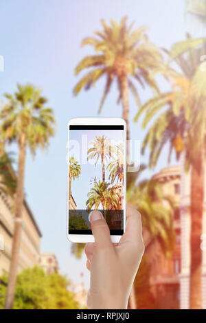 Ein Mann macht ein Foto von Palmen im Sommer Sonne auf den Straßen von Rom auf einem Mobiltelefon Stockfoto