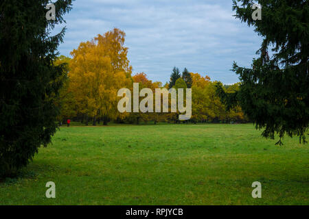 Helle, platzen Herbst Farbe während der Höhe des Herbstes in Tallin, Estland. Stockfoto
