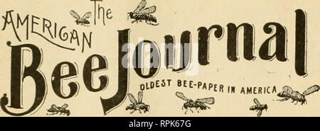 . American bee Journal. Biene Kultur; Bienen. 600 DER AMERICAN BEE JOURNAL. Sept. 23. CBORCB Yr.YORK,. Editor. PUBLI 8 BT WÖCHENTLICH DURCH GEORGE W. YORK &Amp; Unternehmen, 118 Micblg-aa St., Chicago, Ill. tl. OO ein Jahr - Beispiel Kopie gesendet. [Bntered am Po" t-Offlce in Chicago als Second-Class Mall-Matter. United Stales Unioji Bee-Keepers'. OrKunized die Ausübung der Bienenzucht zu gelangen: die Interessen ot Biene zu fördern - Wächter; Lo ihre Mitglieder schützen; die Verfälschung 01 Honig zu verhindern; und die unehrlichen Honig - Kommission Männer zu verfolgen. Mitgliedsbeitrag - $ 1.00 pro Jahr. li. xreotitii-o Commlttoe. PRE Stockfoto