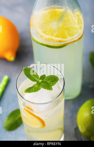 Tonic mit Zitrone, Limette und Minze in ein klares Glas Stockfoto