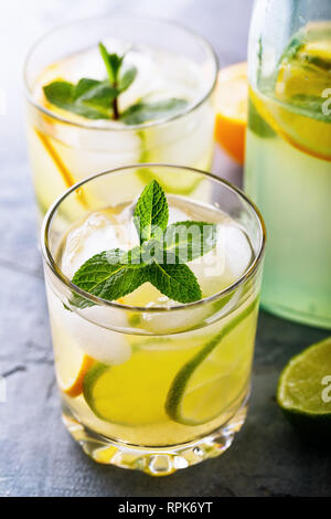 Tonic mit Zitrone, Limette und Minze in ein durchsichtiges Glas mit einer Flasche, close-up Stockfoto