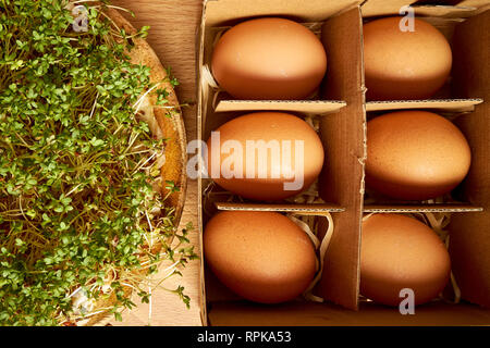 Bio Huhn Eier im Karton auf den Eiern mit Fächern und die Platte von kresse Keimsprossen Stockfoto