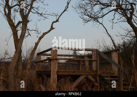 Der Vollmond steht in den Abendhimmel über einem verfallenen Holz- struktur in der Natur. Stockfoto