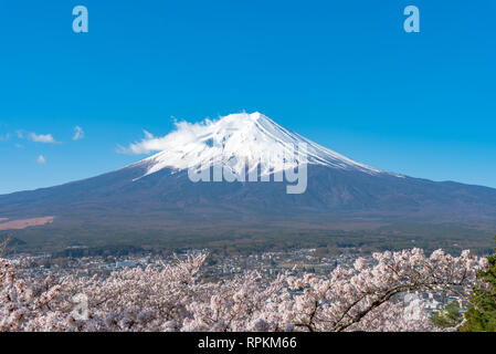 Mount Fuji (Mt. Fuji) mit blauem Himmel Hintergrund in Sakura Kirschblüte. Arakurayama Sengen Park, Fujiyoshida, Yamanashi, Japan Stockfoto