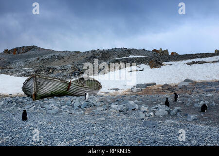 Szene von Eisbergen, Pinguinen, Robben, Schnee und Eis in der Antarktis, dem südlichsten Kontinent der Welt Stockfoto